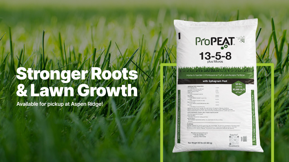 Fertilizer for Stronger Roots and Lawn Growth